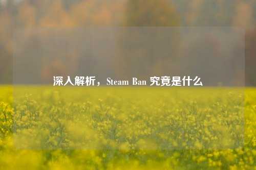 深入解析，Steam Ban 究竟是什么