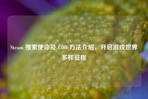 Steam 搜索使命及 COD 方法介绍，开启游戏世界多样征程