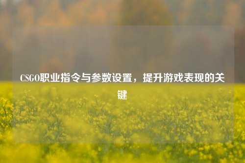 CSGO职业指令与参数设置，提升游戏表现的关键