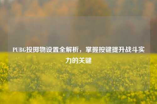 PUBG投掷物设置全解析，掌握按键提升战斗实力的关键