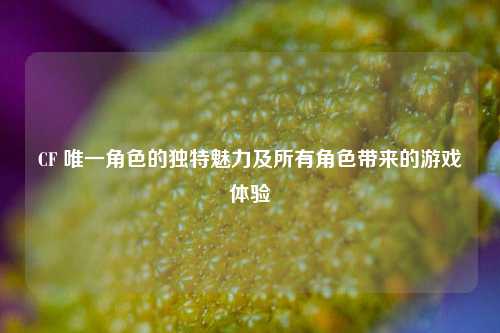 CF 唯一角色的独特魅力及所有角色带来的游戏体验