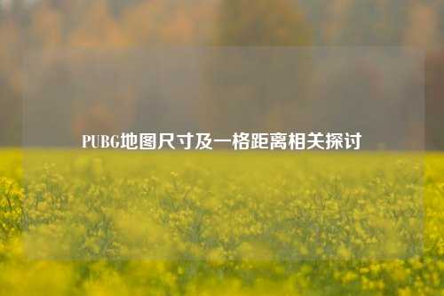 PUBG地图尺寸及一格距离相关探讨