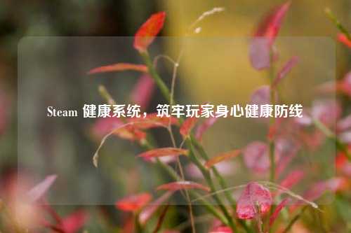 Steam 健康系统，筑牢玩家身心健康防线