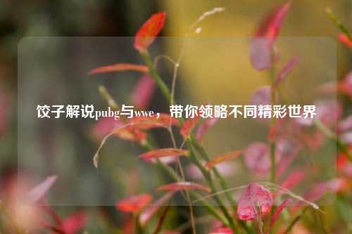 饺子解说pubg与wwe，带你领略不同精彩世界