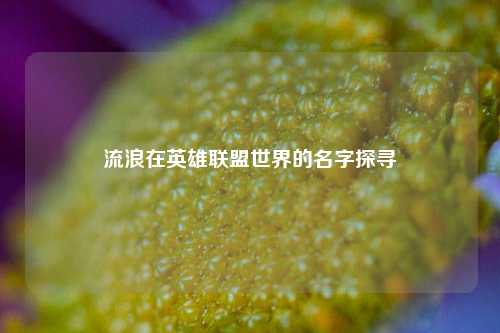 流浪在英雄联盟世界的名字探寻
