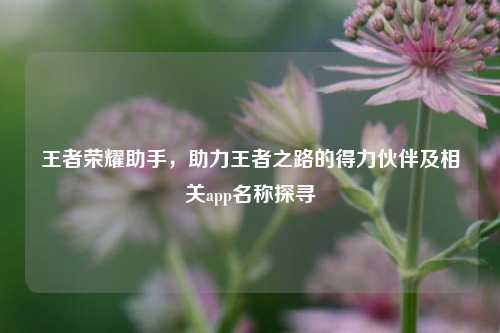 王者荣耀助手，助力王者之路的得力伙伴及相关app名称探寻