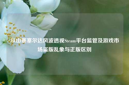 从山寨塞尔达风波透视Steam平台监管及游戏市场盗版乱象与正版区别
