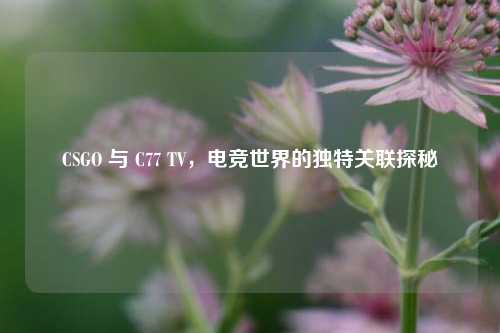 CSGO 与 C77 TV，电竞世界的独特关联探秘