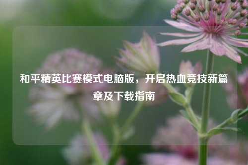 和平精英比赛模式电脑版，开启热血竞技新篇章及下载指南