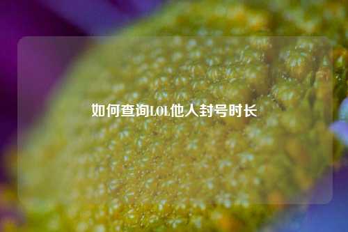 如何查询LOL他人封号时长