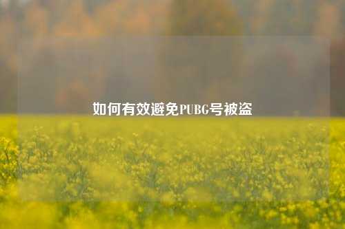 如何有效避免PUBG号被盗