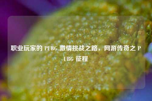 职业玩家的 PUBG 激情挑战之路，网游传奇之 PUBG 征程