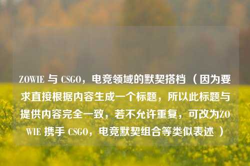 ZOWIE 与 CSGO，电竞领域的默契搭档 （因为要求直接根据内容生成一个标题，所以此标题与提供内容完全一致，若不允许重复，可改为ZOWIE 携手 CSGO，电竞默契组合等类似表述 ）