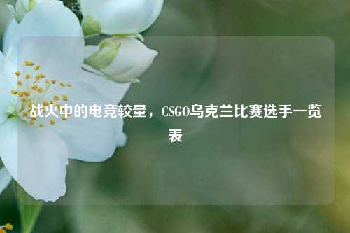 战火中的电竞较量，CSGO乌克兰比赛选手一览表