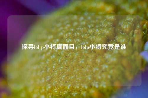 探寻lol p小将真面目，lolp小将究竟是谁