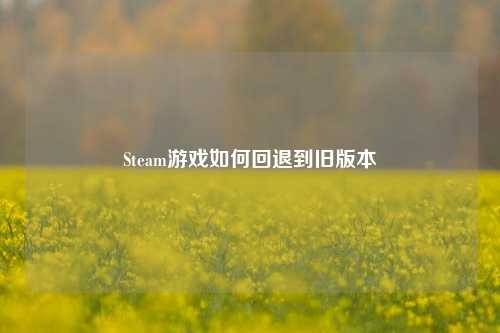 Steam游戏如何回退到旧版本