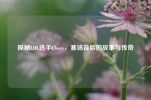 探秘LOL选手Chovy，赛场背后的故事与传奇