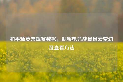 和平精英常规赛数据，洞察电竞战场风云变幻及查看方法