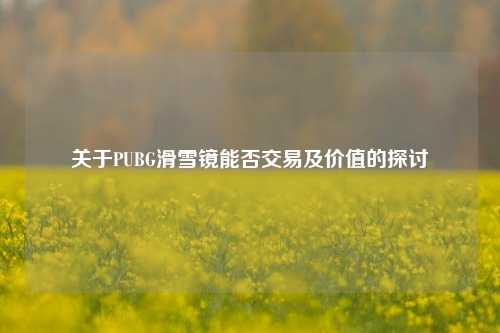 关于PUBG滑雪镜能否交易及价值的探讨