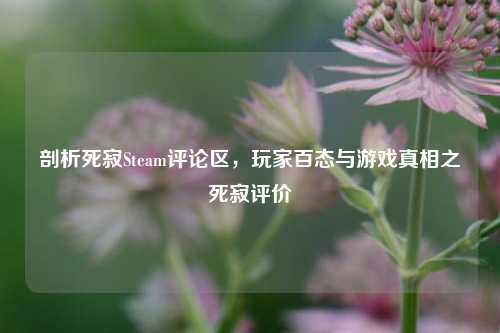 剖析死寂Steam评论区，玩家百态与游戏真相之死寂评价