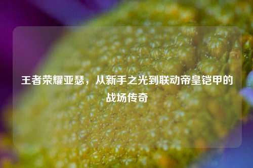 王者荣耀亚瑟，从新手之光到联动帝皇铠甲的战场传奇