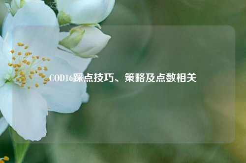 COD16踩点技巧、策略及点数相关