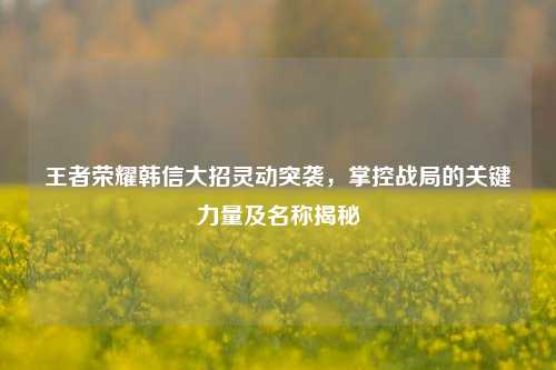王者荣耀韩信大招灵动突袭，掌控战局的关键力量及名称揭秘