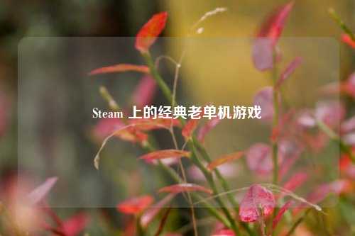 Steam 上的经典老单机游戏