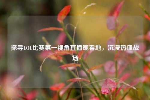 探寻LOL比赛第一视角直播观看地，沉浸热血战场