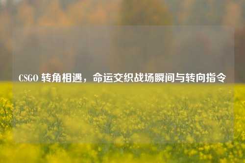 CSGO 转角相遇，命运交织战场瞬间与转向指令