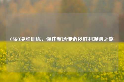 CSGO决胜训练，通往赛场传奇及胜利规则之路