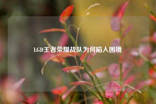 LGD王者荣耀战队为何陷入困境