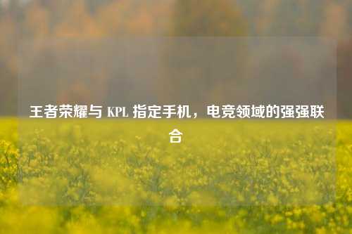 王者荣耀与 KPL 指定手机，电竞领域的强强联合