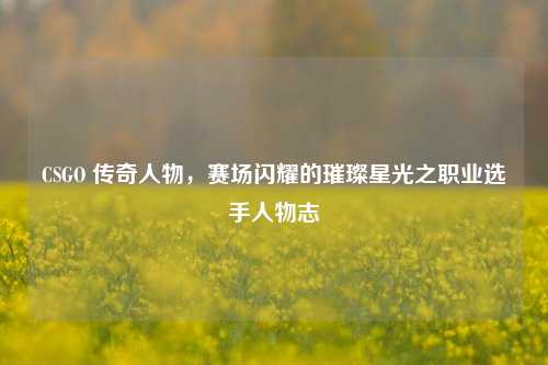 CSGO 传奇人物，赛场闪耀的璀璨星光之职业选手人物志