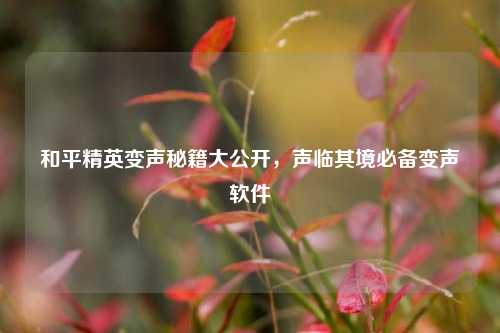 和平精英变声秘籍大公开,声临其境必备变声软件