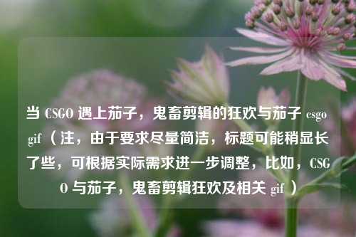 当 CSGO 遇上茄子，鬼畜剪辑的狂欢与茄子 csgo gif （注，由于要求尽量简洁，标题可能稍显长了些，可根据实际需求进一步调整，比如，CSGO 与茄子，鬼畜剪辑狂欢及相关 gif ）
