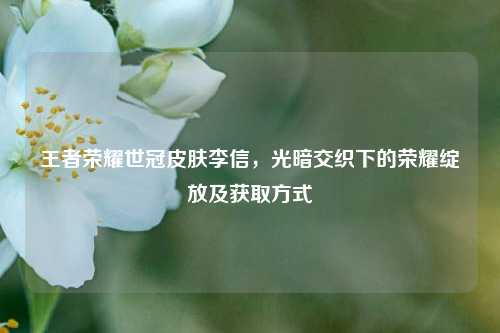 王者荣耀世冠皮肤李信，光暗交织下的荣耀绽放及获取方式