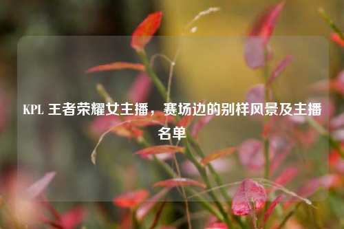 KPL 王者荣耀女主播，赛场边的别样风景及主播名单
