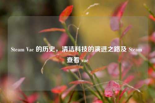Steam Vac 的历史，清洁科技的演进之路及 Steam 查看 vac