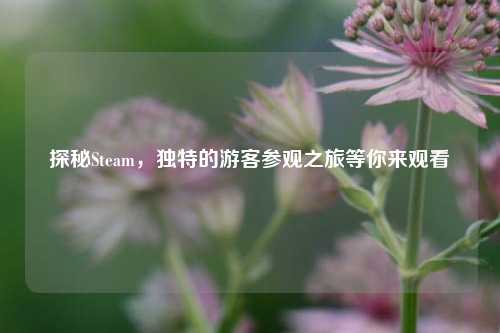 探秘Steam，独特的游客参观之旅等你来观看