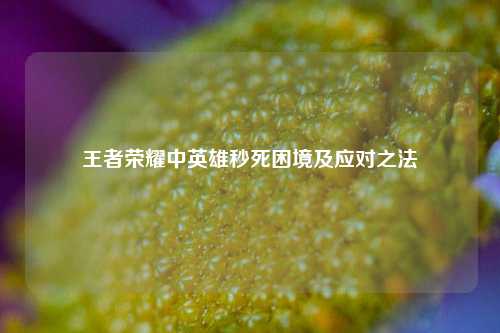 王者荣耀中英雄秒死困境及应对之法