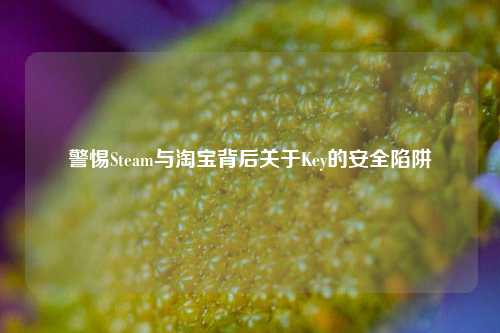 警惕Steam与淘宝背后关于Key的安全陷阱
