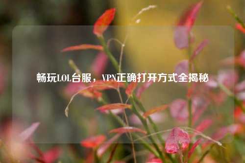 畅玩LOL台服，VPN正确打开方式全揭秘