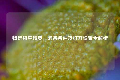 畅玩和平精英，必备条件及打开设置全解析