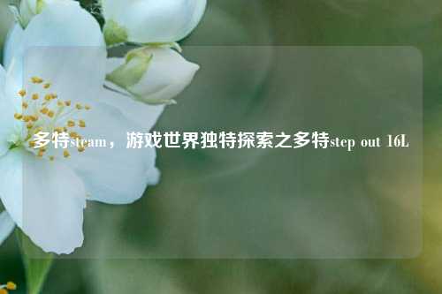 多特steam，游戏世界独特探索之多特step out 16L