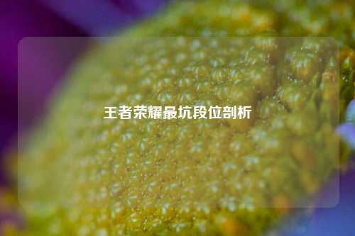 王者荣耀最坑段位剖析