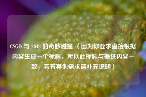 CSGO 与 2048 的奇妙碰撞 （因为你要求直接根据内容生成一个标题，所以此标题与提供内容一致，若有其他需求请补充说明）