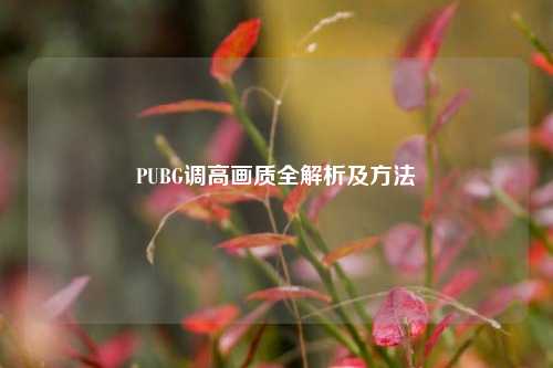 PUBG调高画质全解析及方法