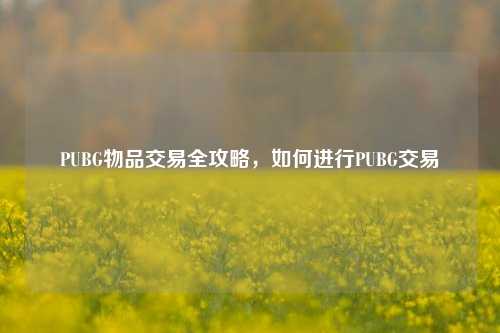PUBG物品交易全攻略，如何进行PUBG交易