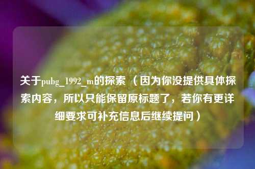关于pubg_1992_m的探索 （因为你没提供具体探索内容，所以只能保留原标题了，若你有更详细要求可补充信息后继续提问）